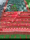 Radhika 101 Patola Heavy Wedding Wear Silk Designer Saree Collection